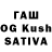 Конопля OG Kush Alina Trrifonova