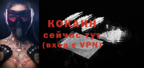 соль ск Надым