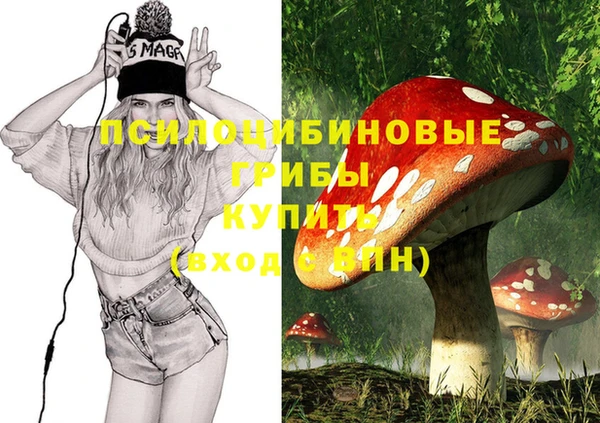 стаф Навашино