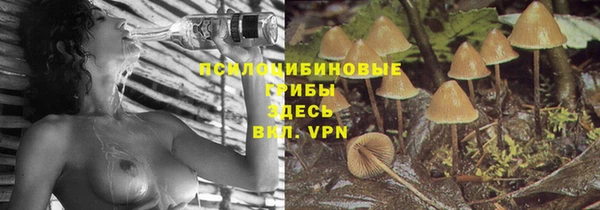 соль ск Надым