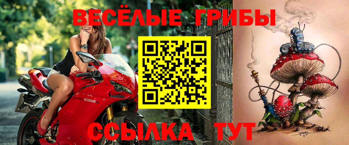 Борисоглебск  Галлюциногенные грибы Magic Shrooms  Вход с VPN  Псилоцибиновые грибы ЛСД 