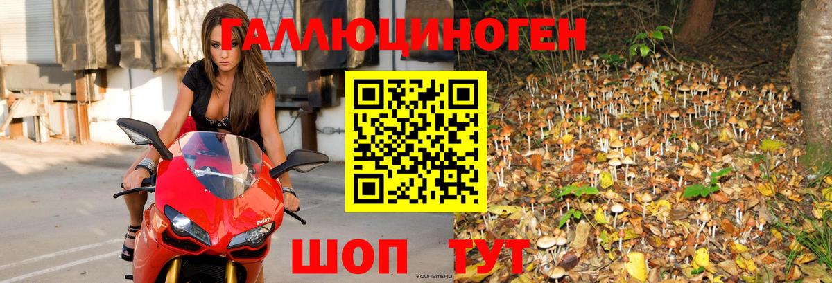 Галлюциногенные грибы мицелий  Галлюциногенные грибы ЛСД  Борисоглебск 